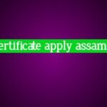 OBC Certificate Apply Assam 2025